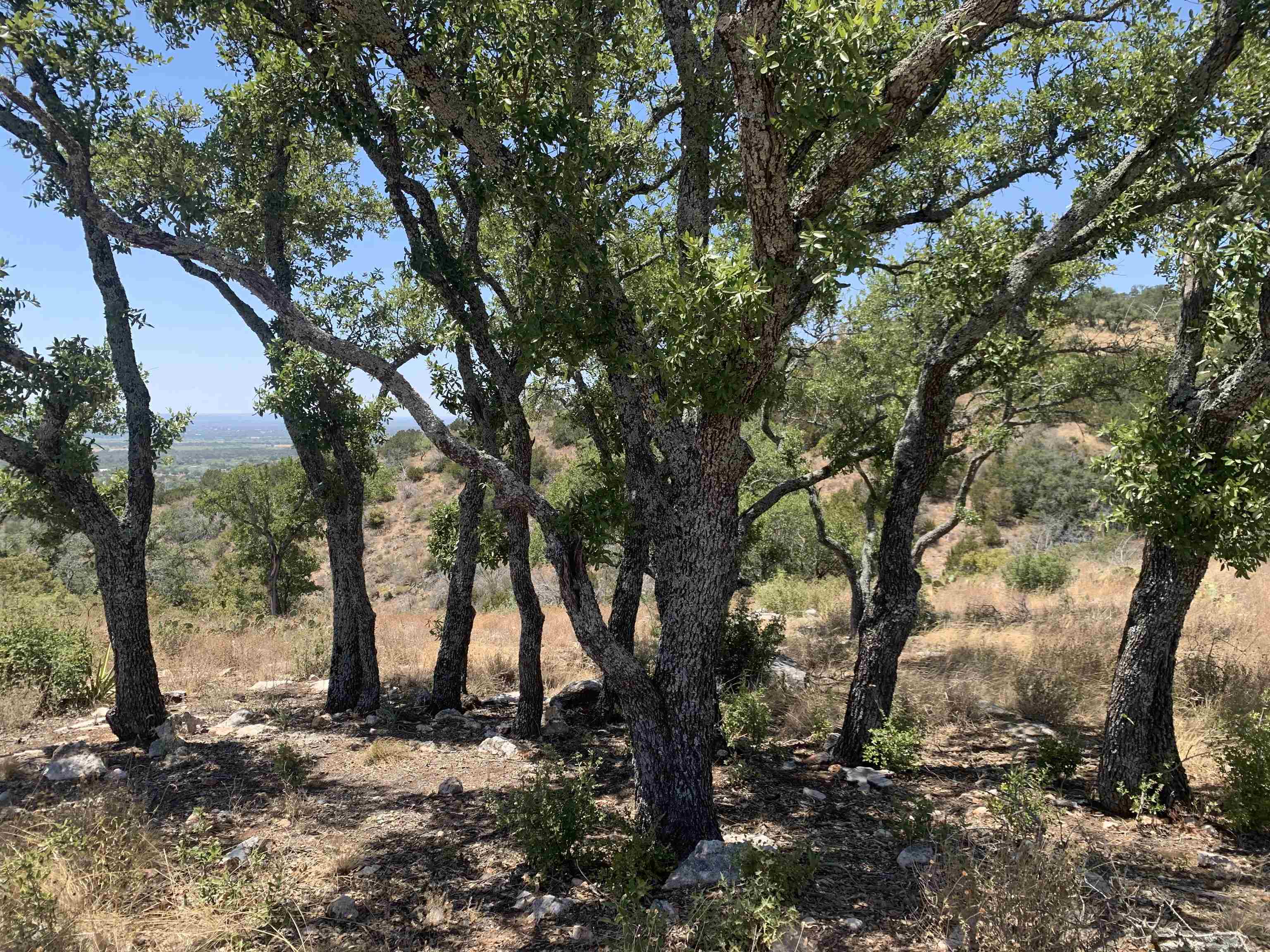 Lot 21 Southview Court Kingsland TX 78639