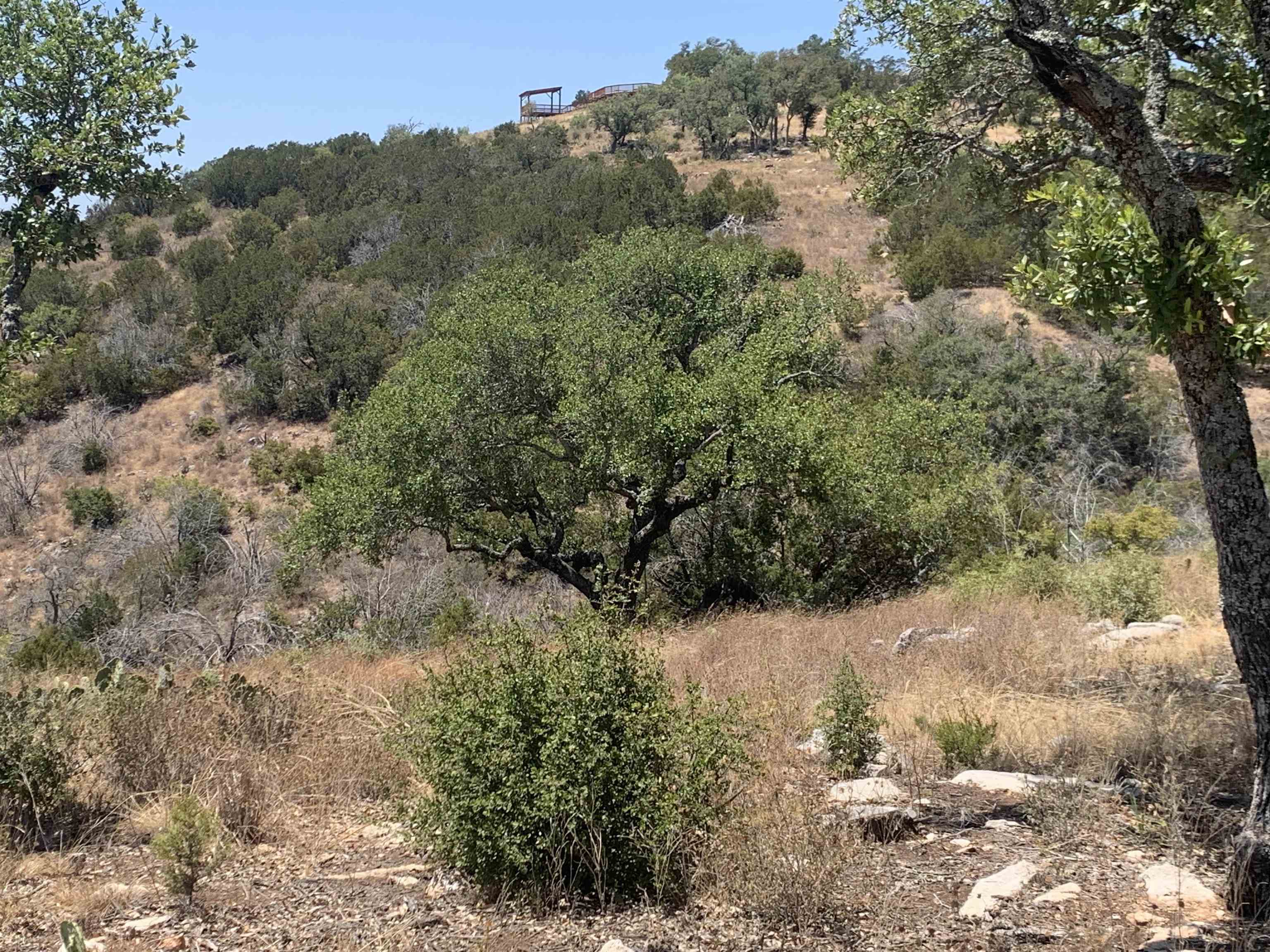 Lot 21 Southview Court Kingsland TX 78639