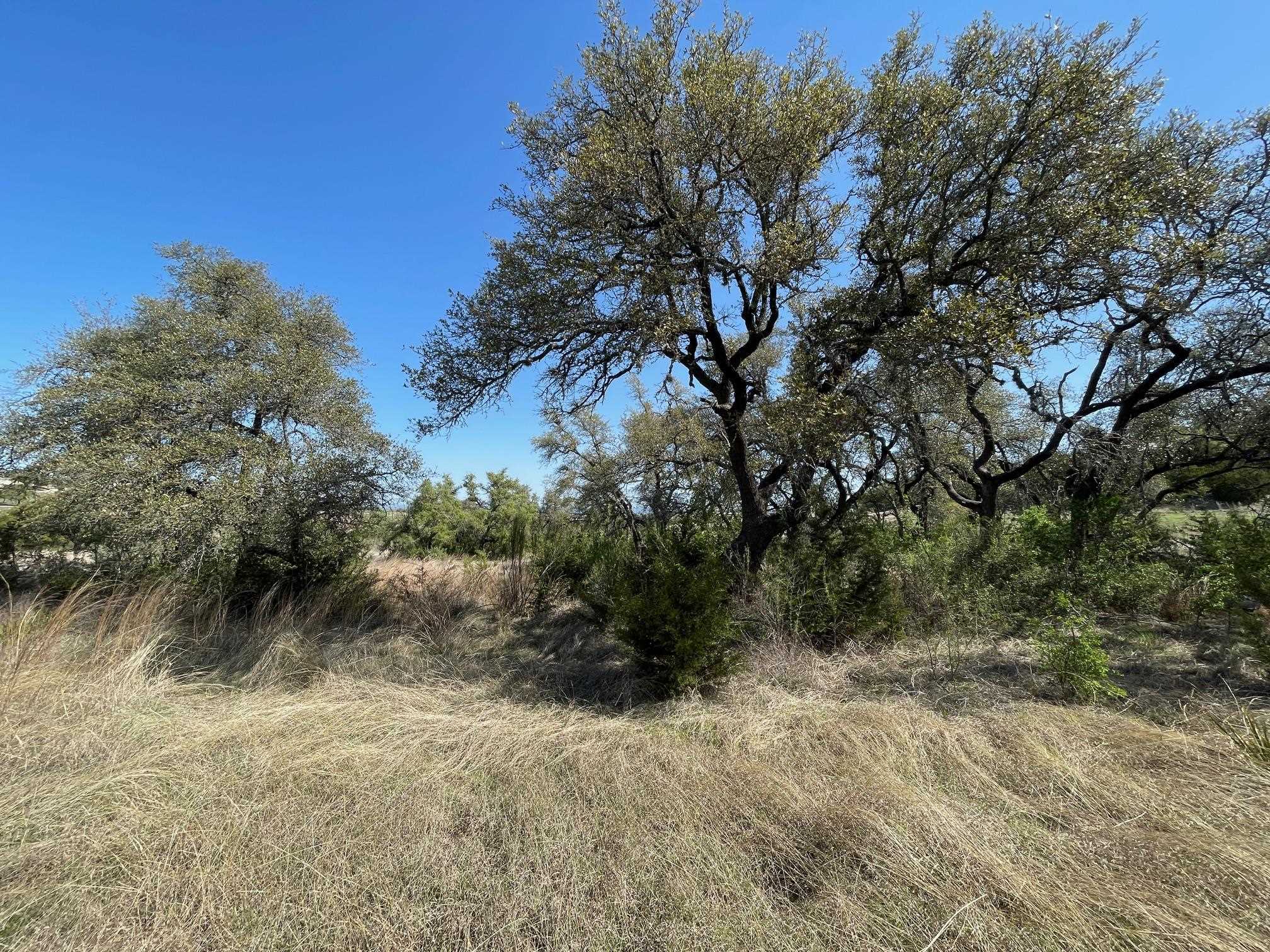 321 Cedar Mountain Drive Marble Falls TX 78669