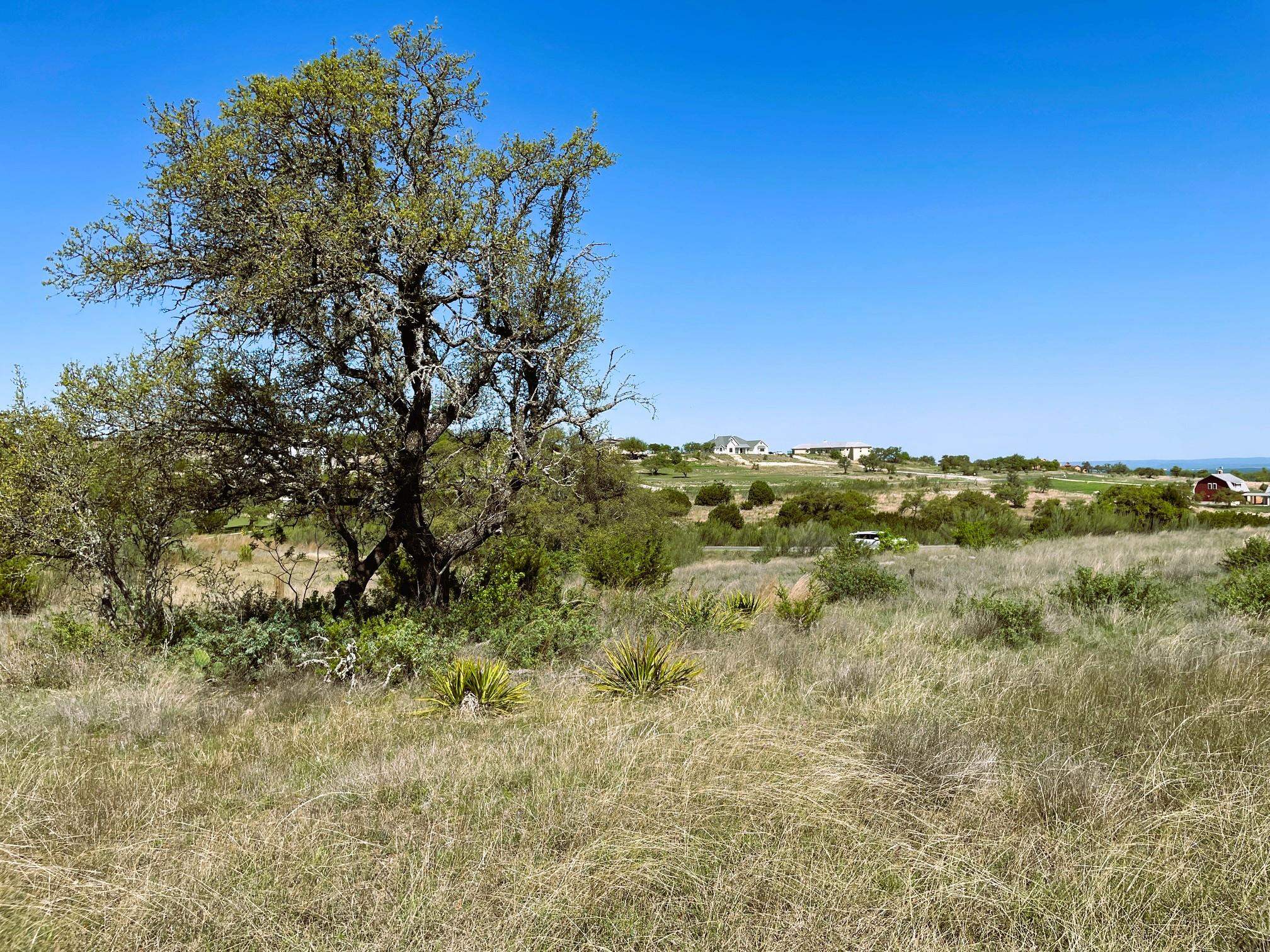 321 Cedar Mountain Drive Marble Falls TX 78669
