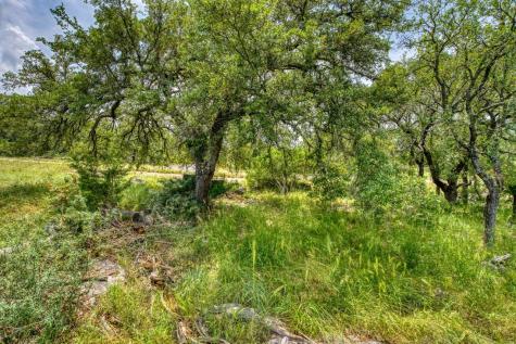 29005 Pawnee Trail Horseshoe Bay TX 78657