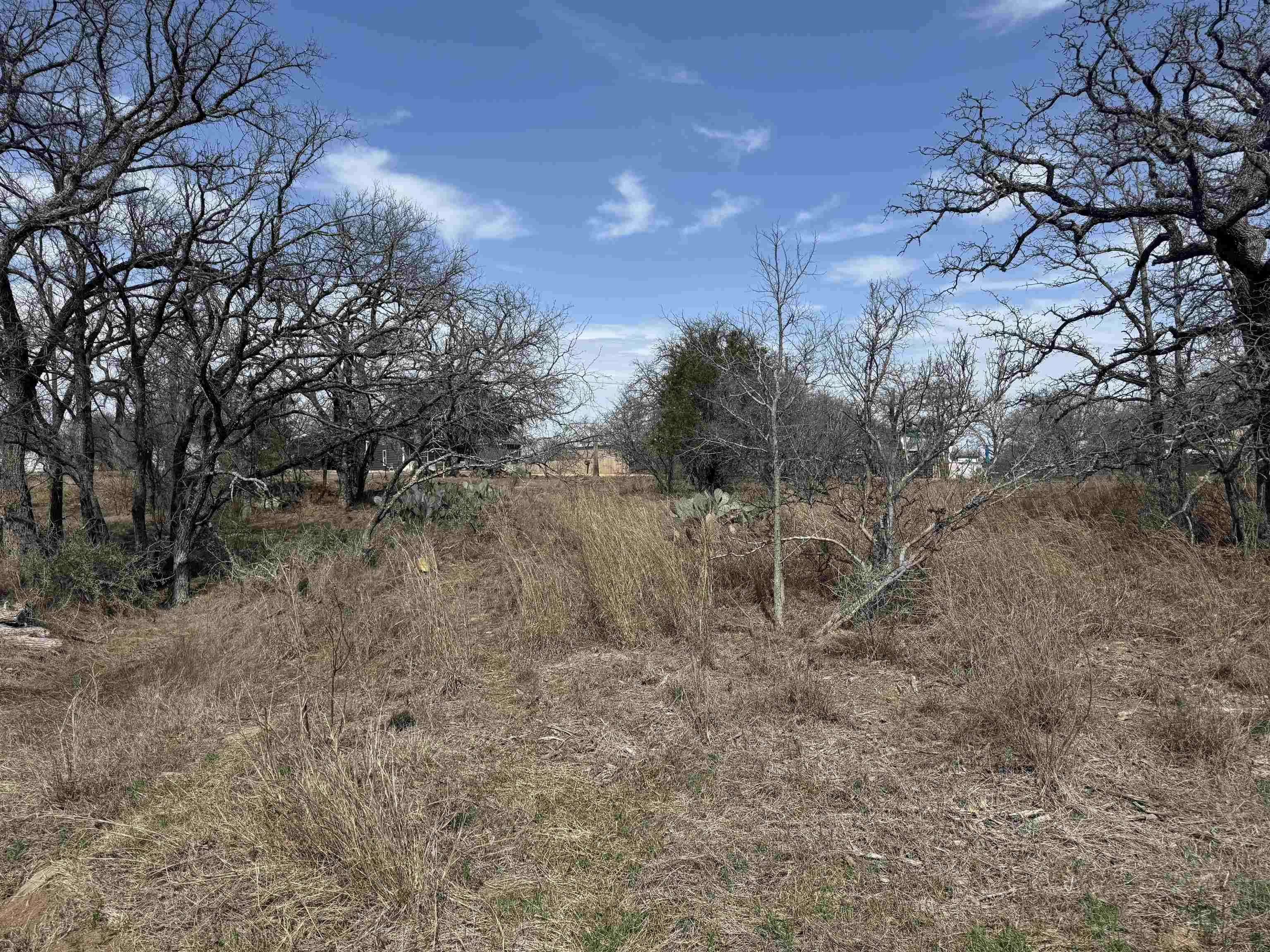 Lot 78 Ridgemont Drive Kingsland TX 78639