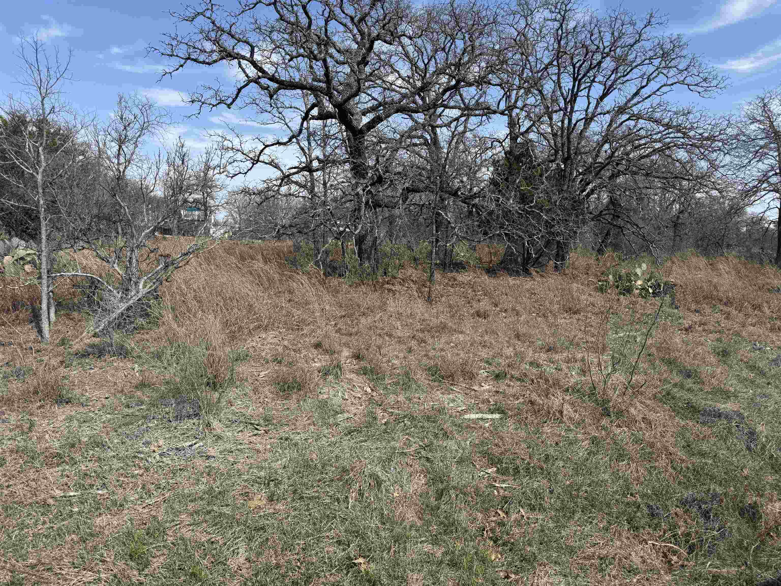 Lot 78 Ridgemont Drive Kingsland TX 78639
