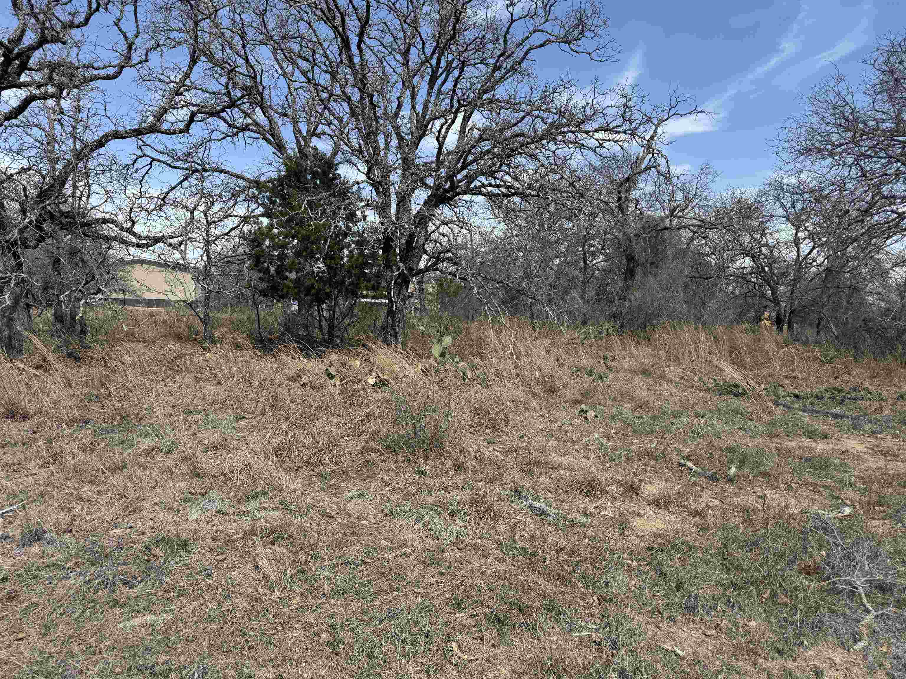 Lot 78 Ridgemont Drive Kingsland TX 78639