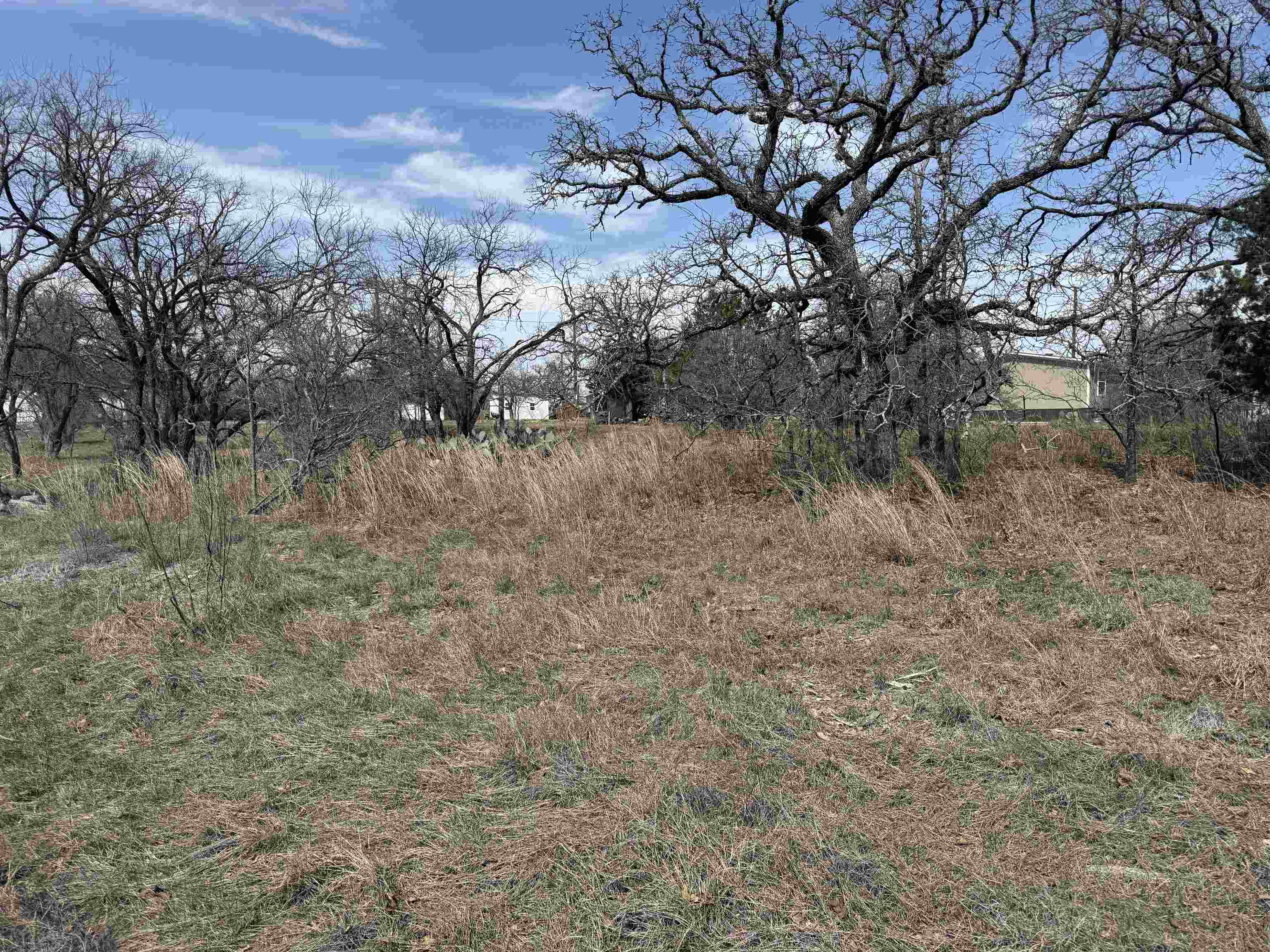 Lot 78 Ridgemont Drive Kingsland TX 78639