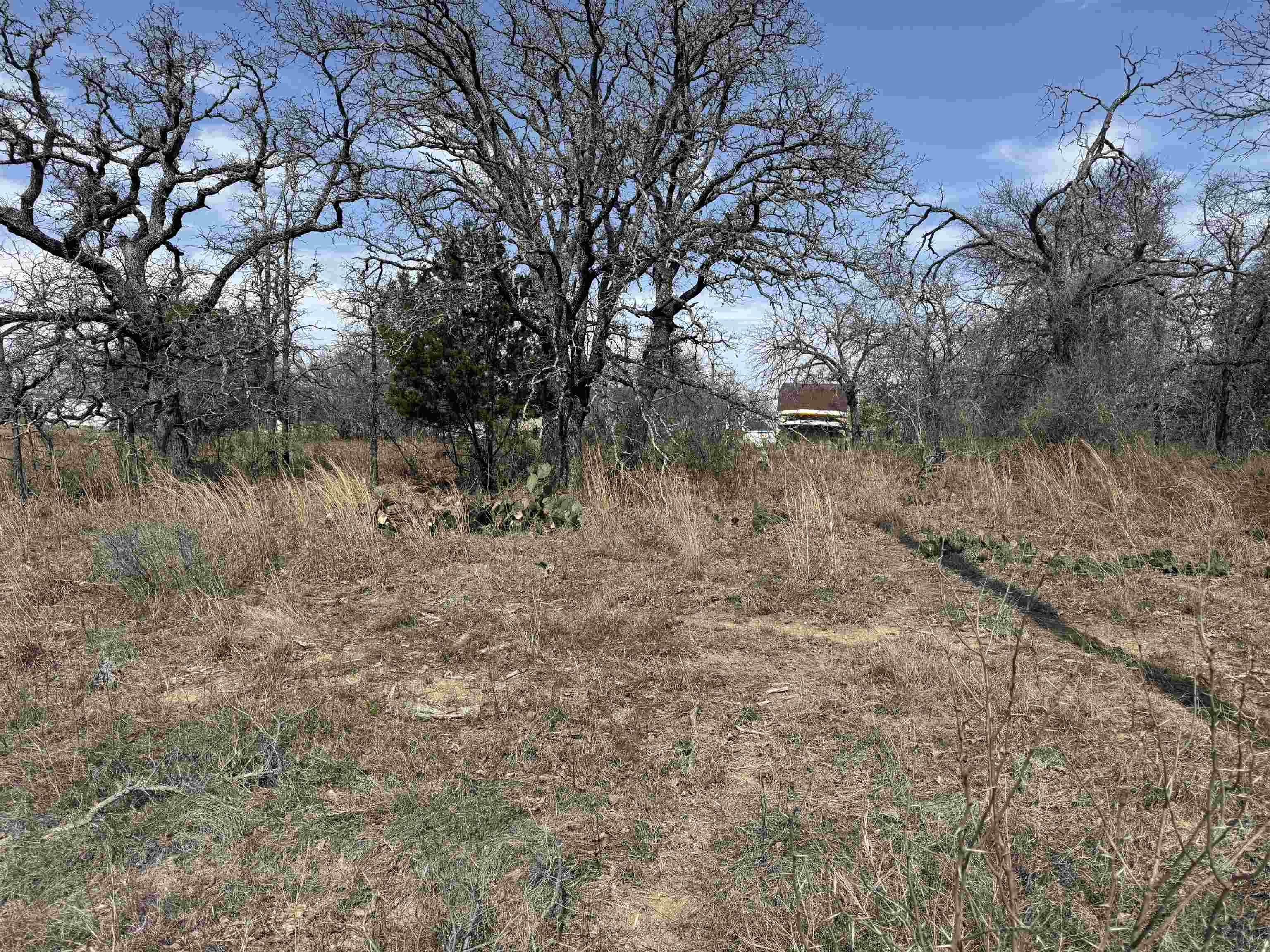 Lot 78 Ridgemont Drive Kingsland TX 78639