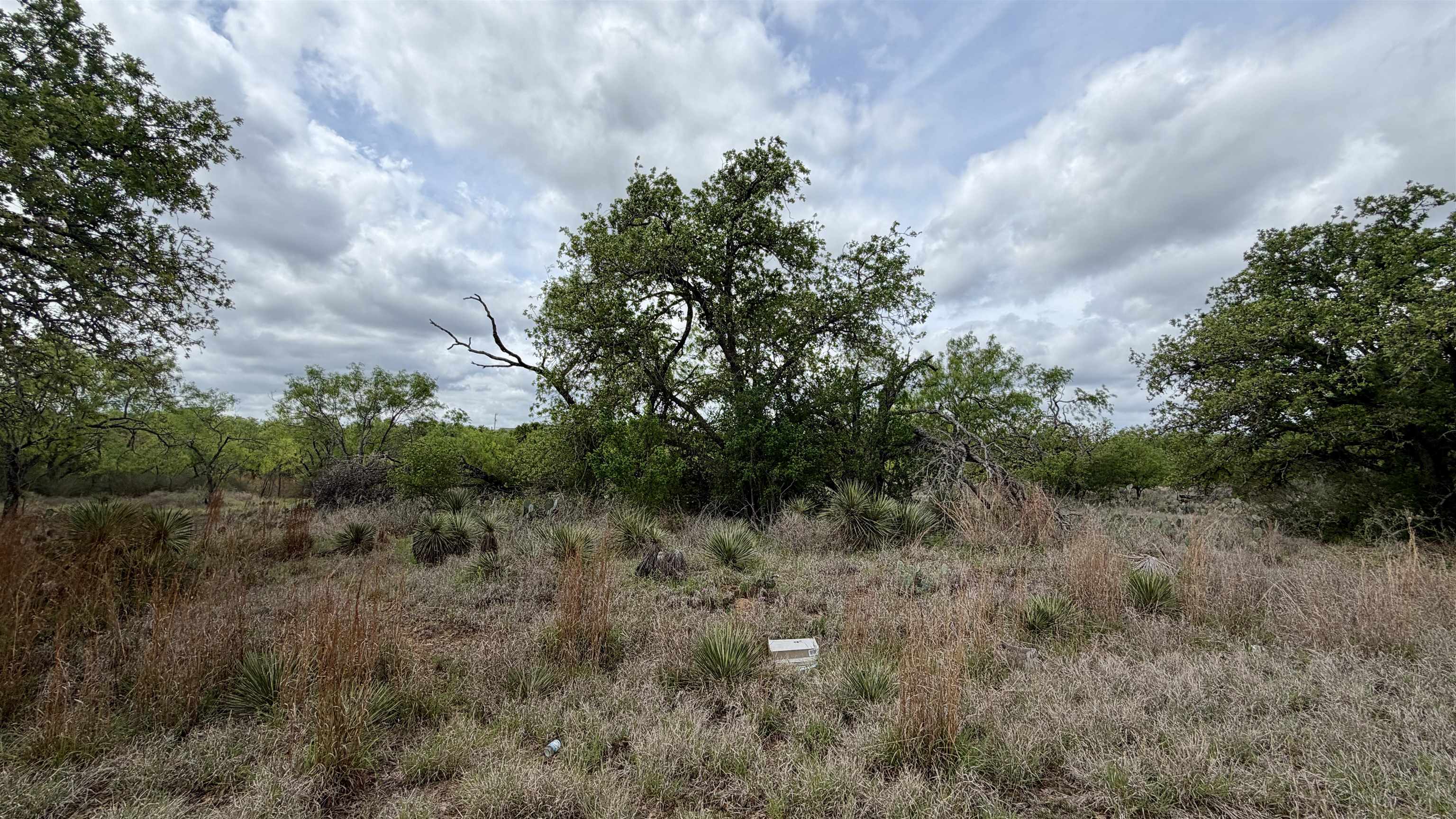 Lot 105 Ridgemont Kingsland TX 78639