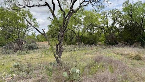 Lot 105 Ridgemont Kingsland TX 78639