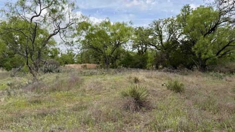 Lot 105 Ridgemont Kingsland TX 78639