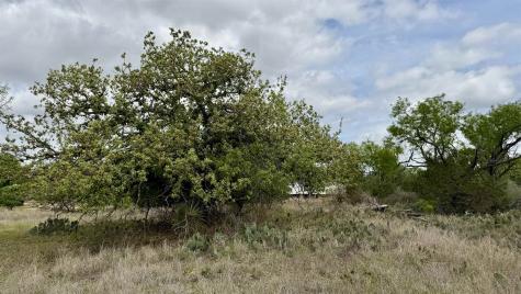 Lot 105 Ridgemont Kingsland TX 78639