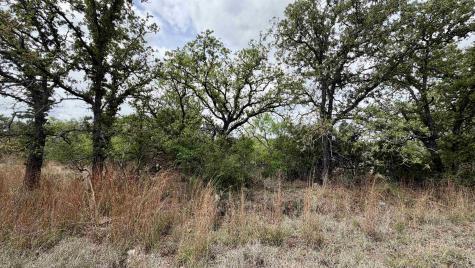 Lot 105 Ridgemont Kingsland TX 78639
