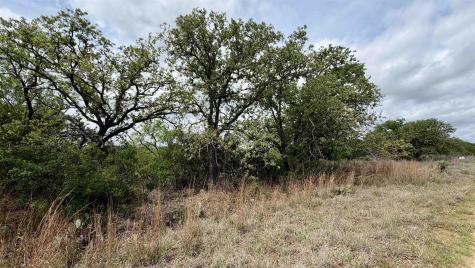 Lot 105 Ridgemont Kingsland TX 78639