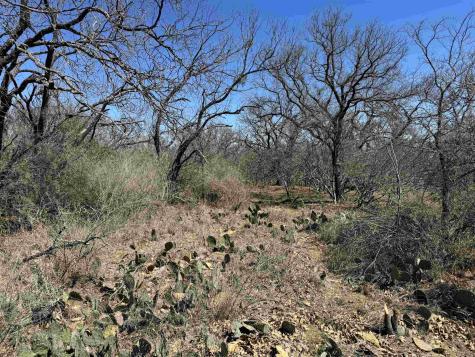 Lot 219 Western Drive Kingsland TX 78639