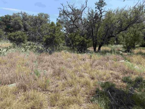 Lot 14068 Hi Mesa Street Horseshoe Bay TX 78654