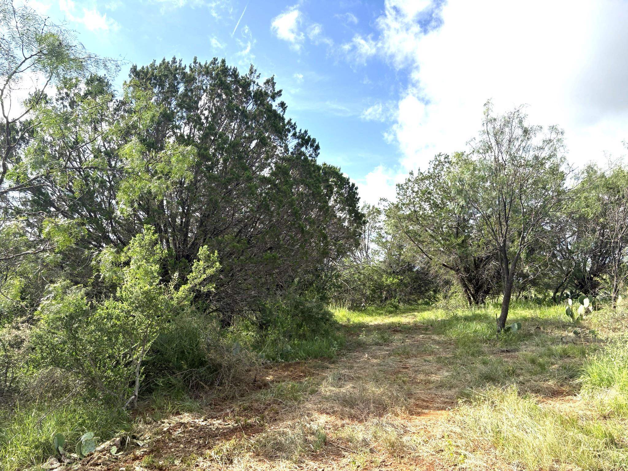 374 Sandy Mountain Drive Sunrise Beach TX 78643