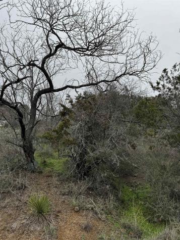 Lot 424 Castlewood Drive Granite Shoals TX 78654