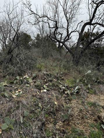 Lot 424 Castlewood Drive Granite Shoals TX 78654