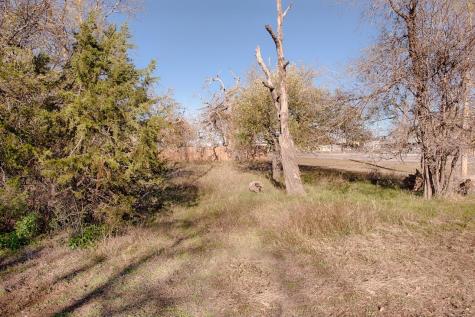Lot 459 W Castleberry Drive Granite Shoals TX 78654