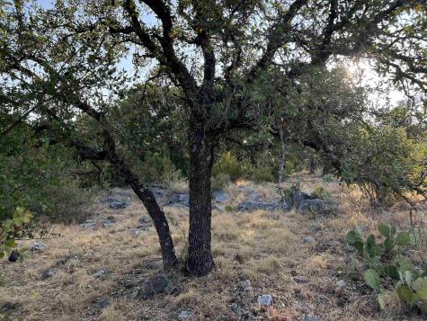 Lot 45047 Long Branch Horseshoe Bay TX 78657