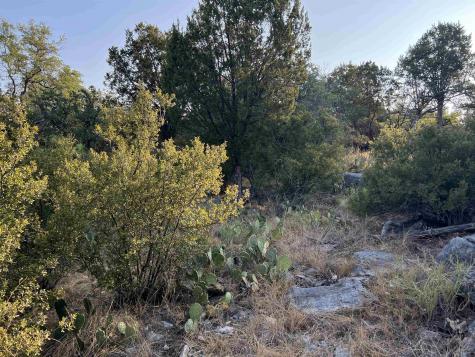 Lot 45047 Long Branch Horseshoe Bay TX 78657
