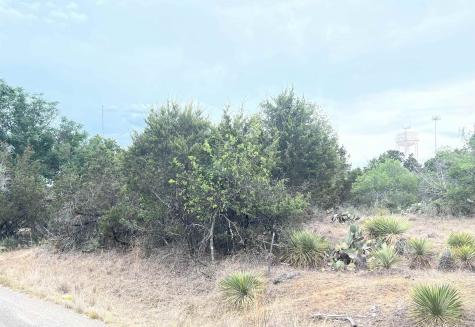 Lot 283 & 284 W Briarway Drive Granite Shoals TX 78654