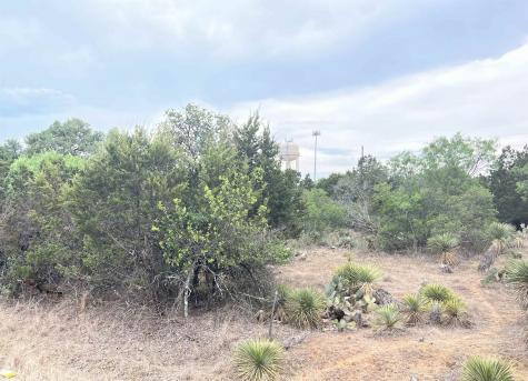 Lot 283 & 284 W Briarway Drive Granite Shoals TX 78654