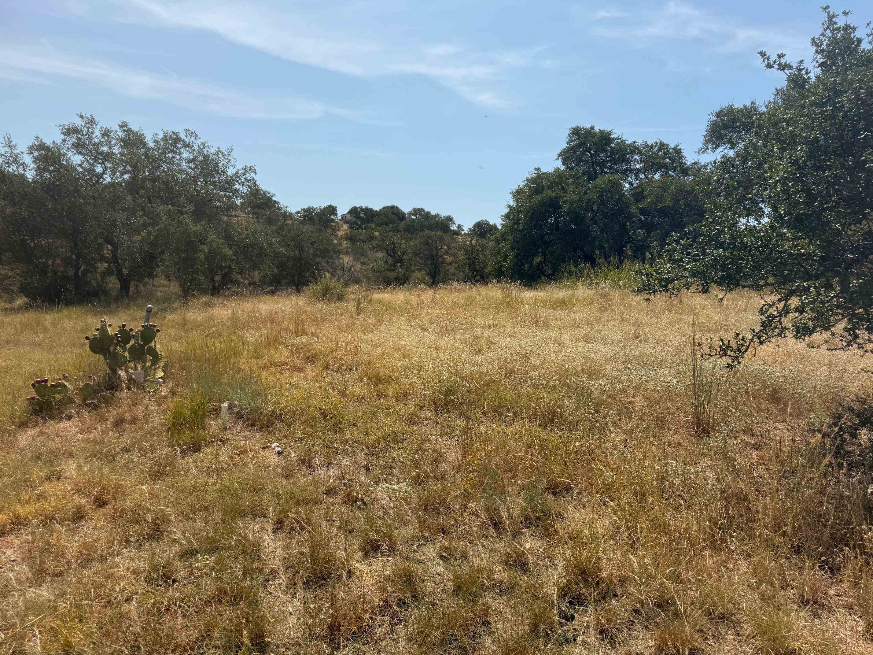 Lot W5017 Up There W Horseshoe Bay TX 78657