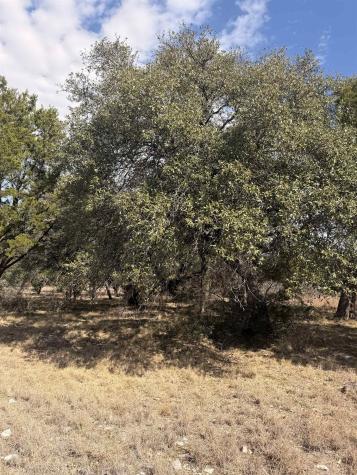 Lt 14135 Purple Sage Horseshoe Bay TX 78657