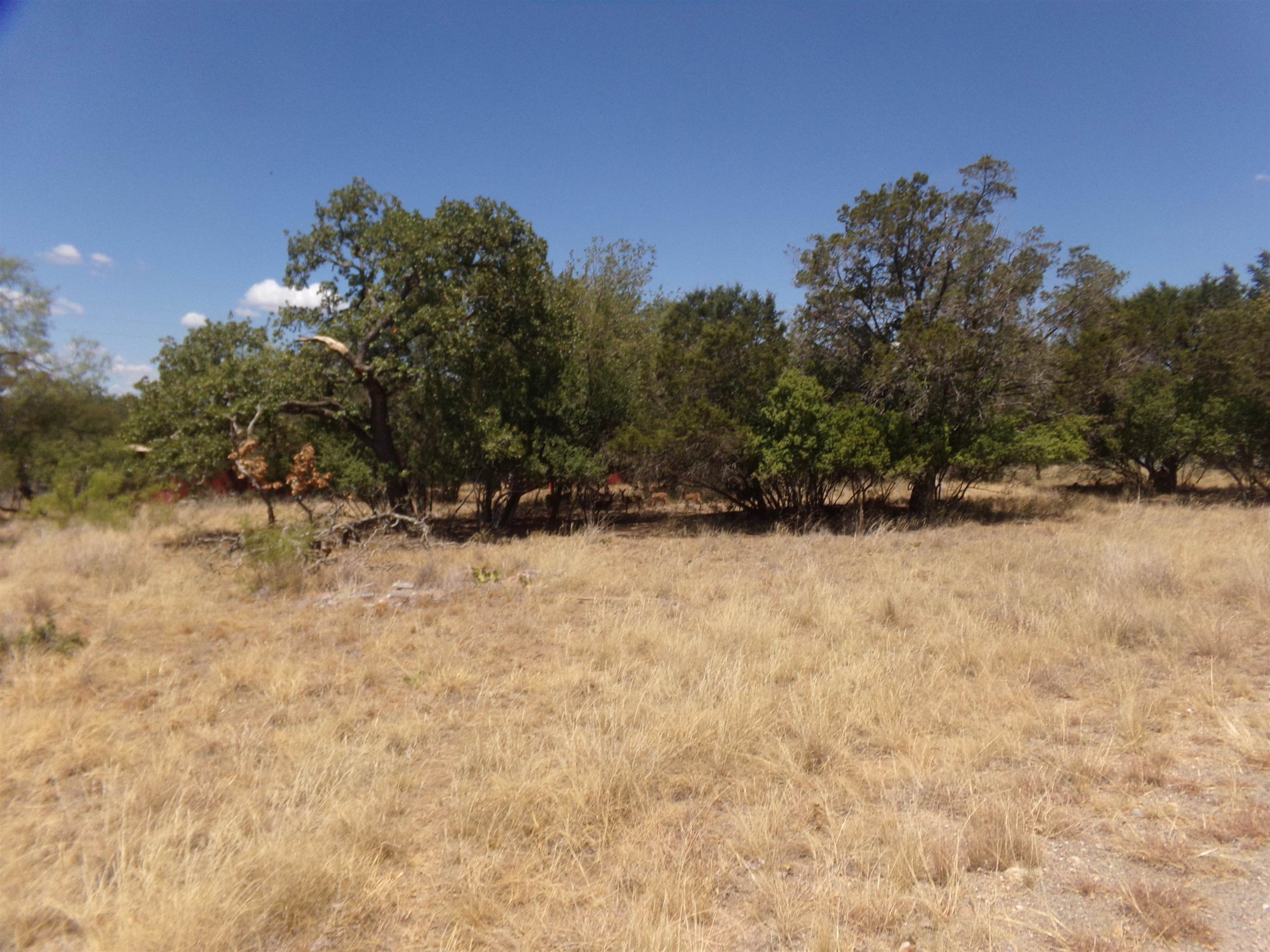 Lot 141 Pine Cottonwood Shores TX 78657