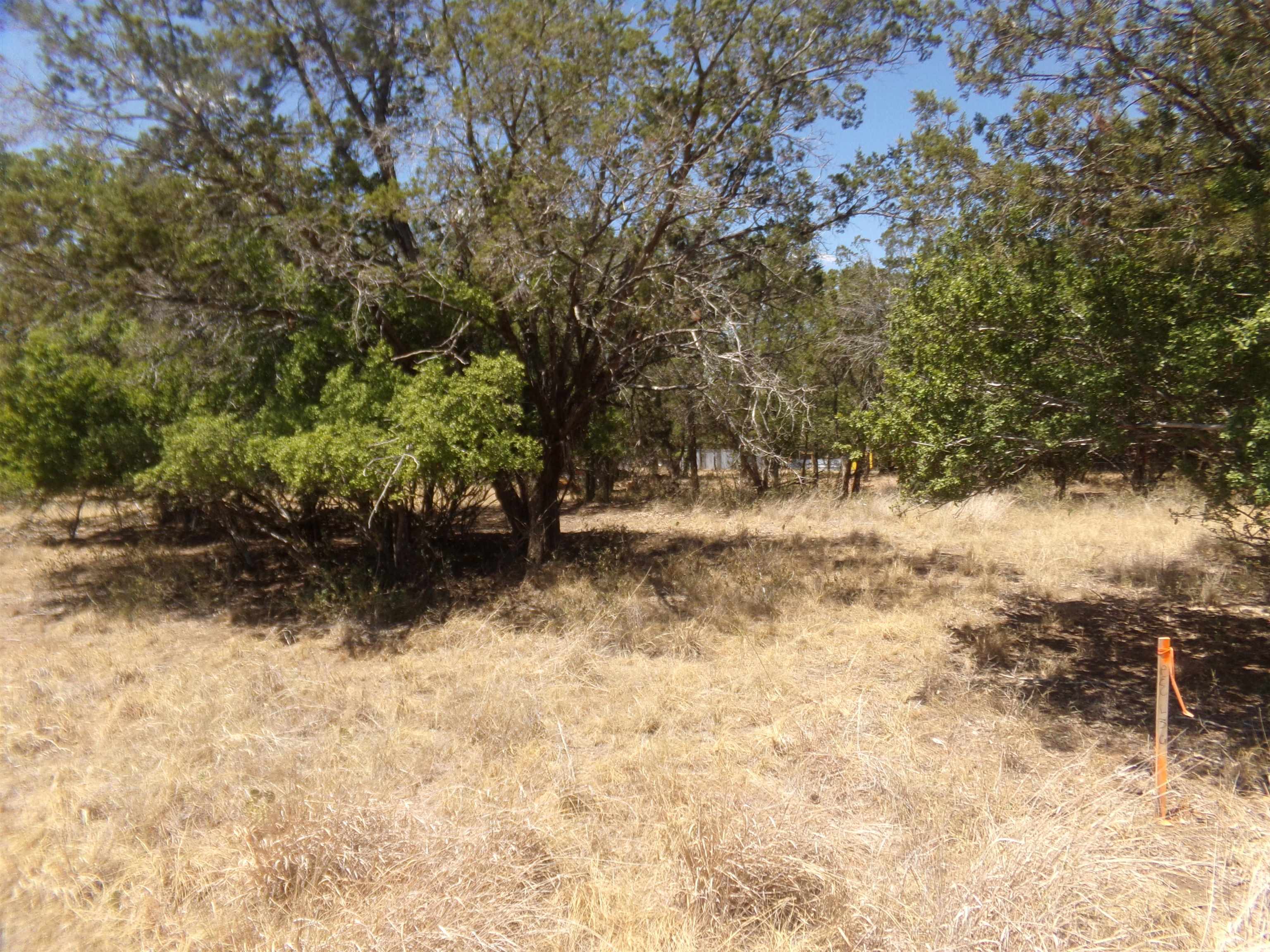 Lot 141 Pine Cottonwood Shores TX 78657