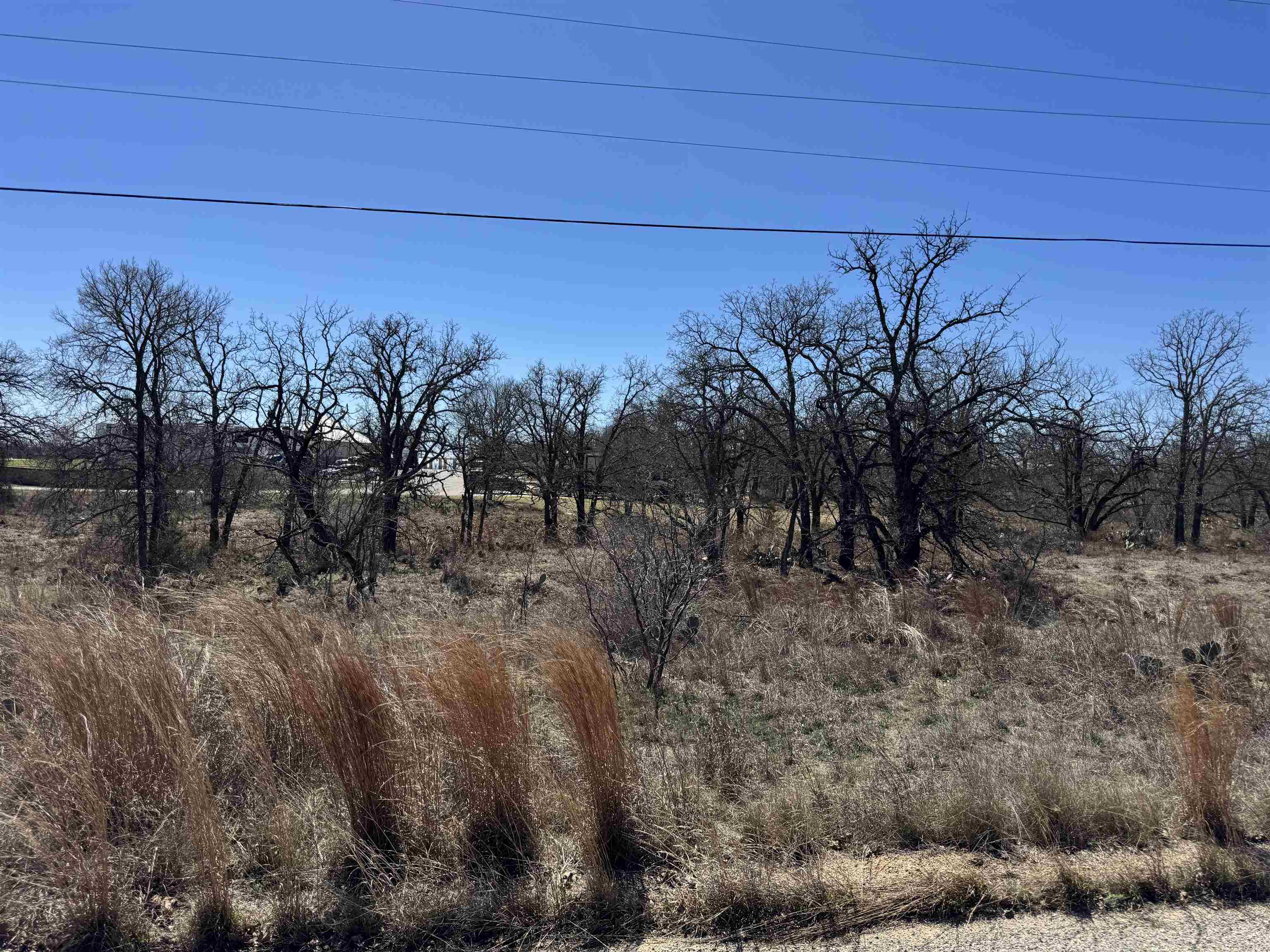 Lot 145 Woodlawn Drive Kingsland TX 78639