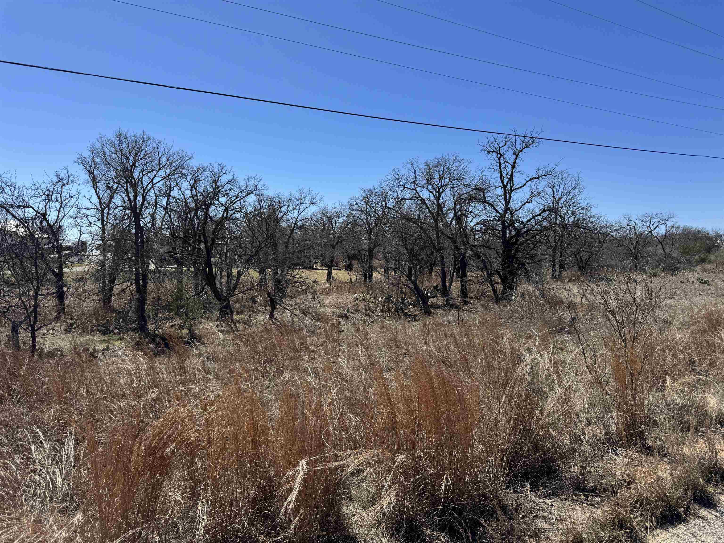 Lot 145 Woodlawn Drive Kingsland TX 78639