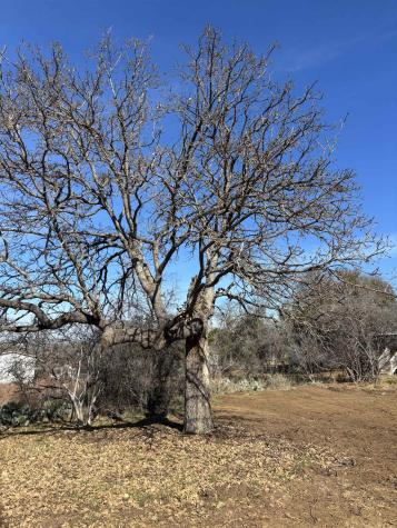 Tbd Castleshoals Drive Granite Shoals TX 78654