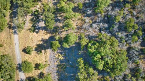 K12118 Buntline Special Horseshoe Bay TX 78657