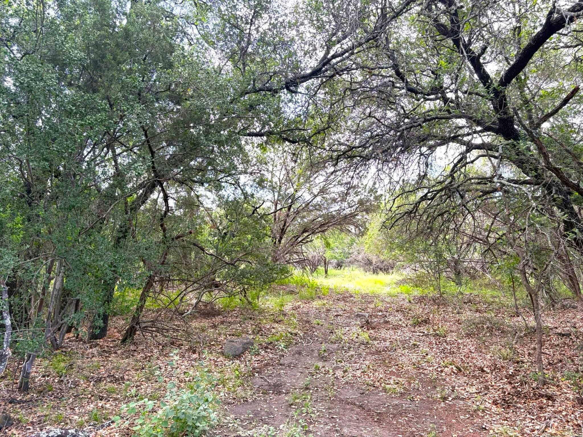 380 Sandy Mountain Drive Sunrise Beach TX 78643