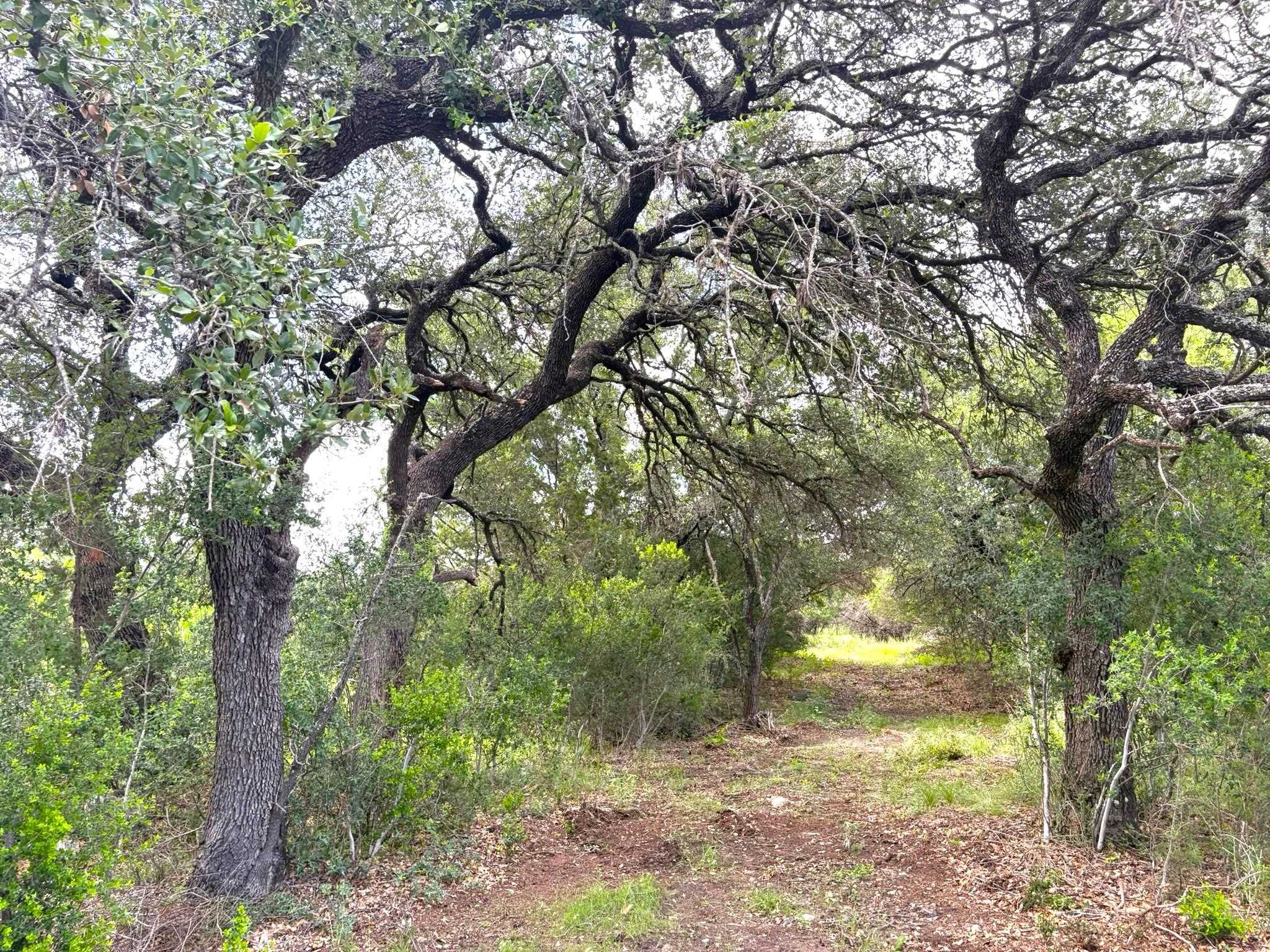380 Sandy Mountain Drive Sunrise Beach TX 78643