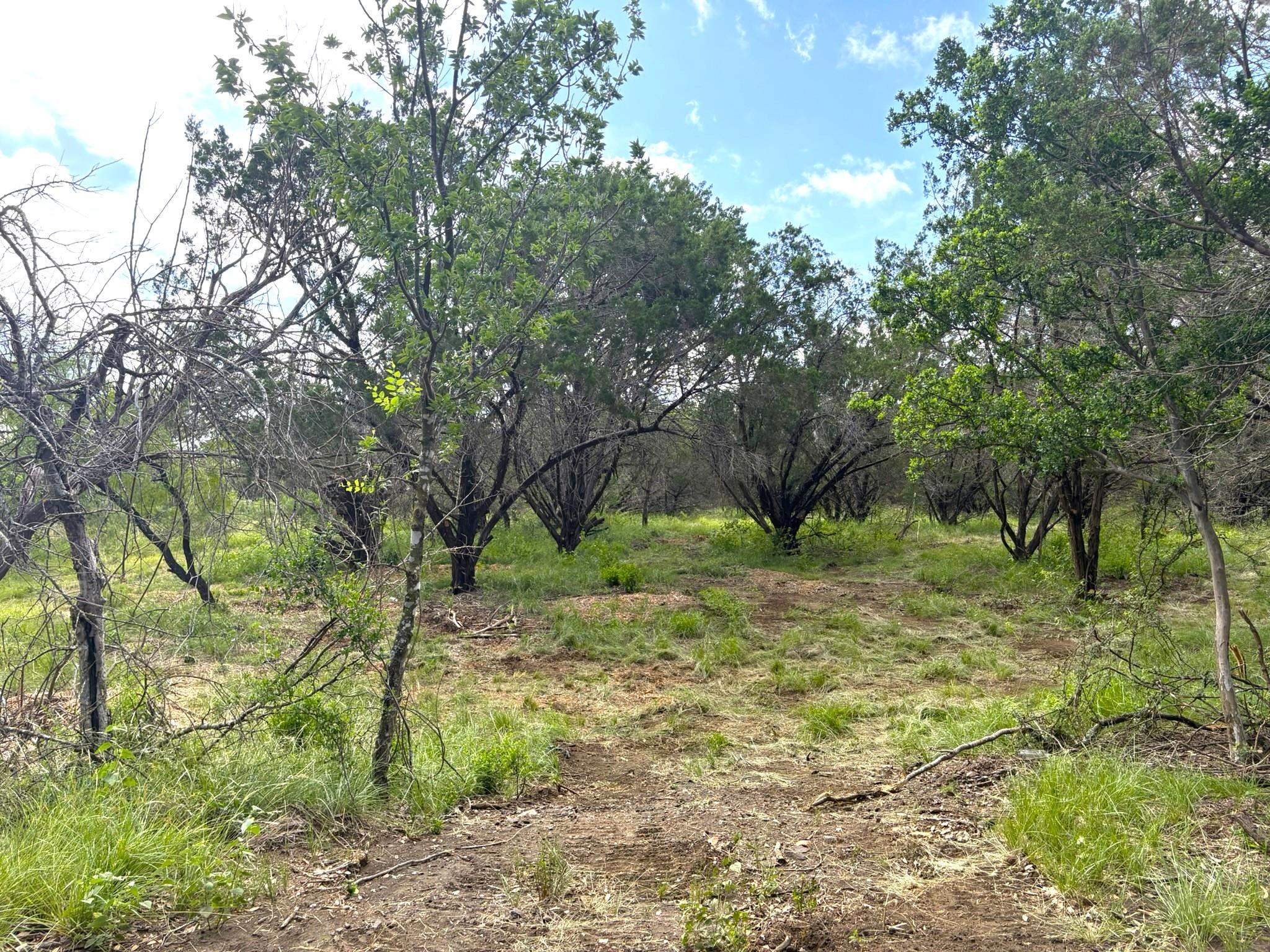 380 Sandy Mountain Drive Sunrise Beach TX 78643