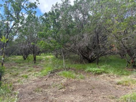 380 Sandy Mountain Drive Sunrise Beach TX 78643