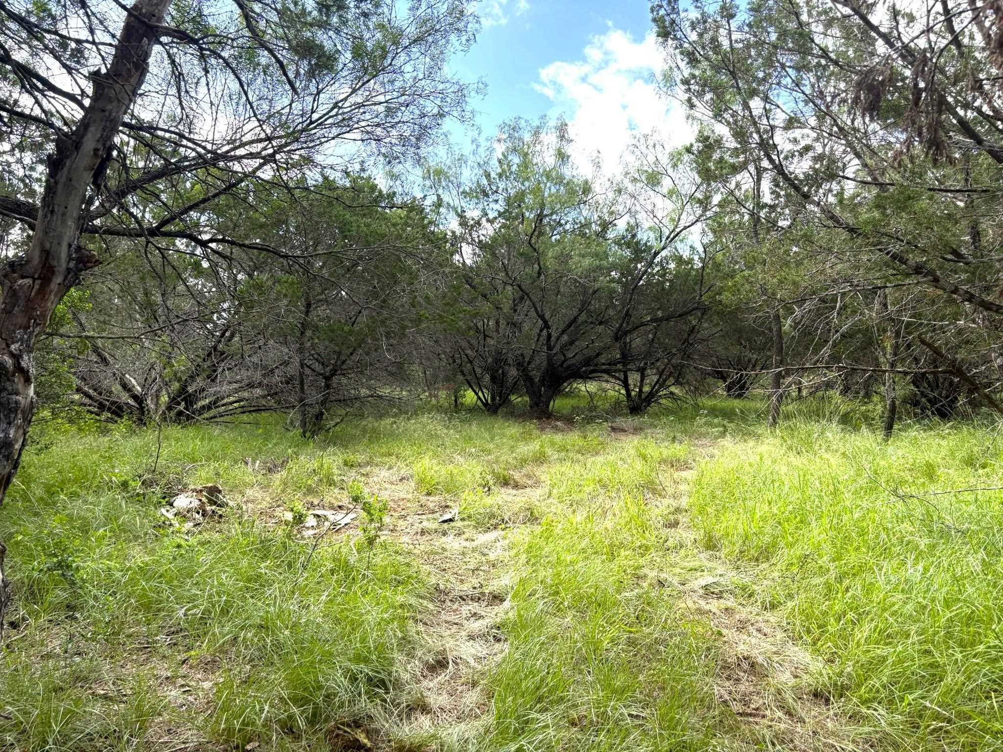 380 Sandy Mountain Drive Sunrise Beach TX 78643