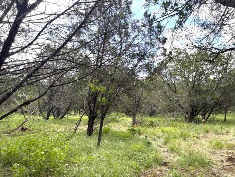 380 Sandy Mountain Drive Sunrise Beach TX 78643