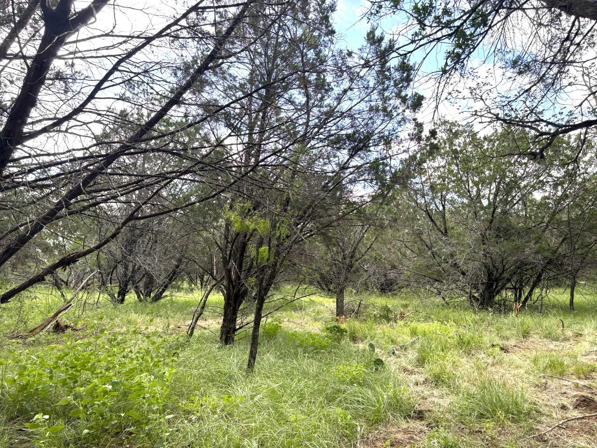 380 Sandy Mountain Drive Sunrise Beach TX 78643