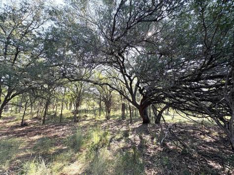 Tbd - Lot 3 Sandy Mountain Drive Sunrise Beach TX 78643