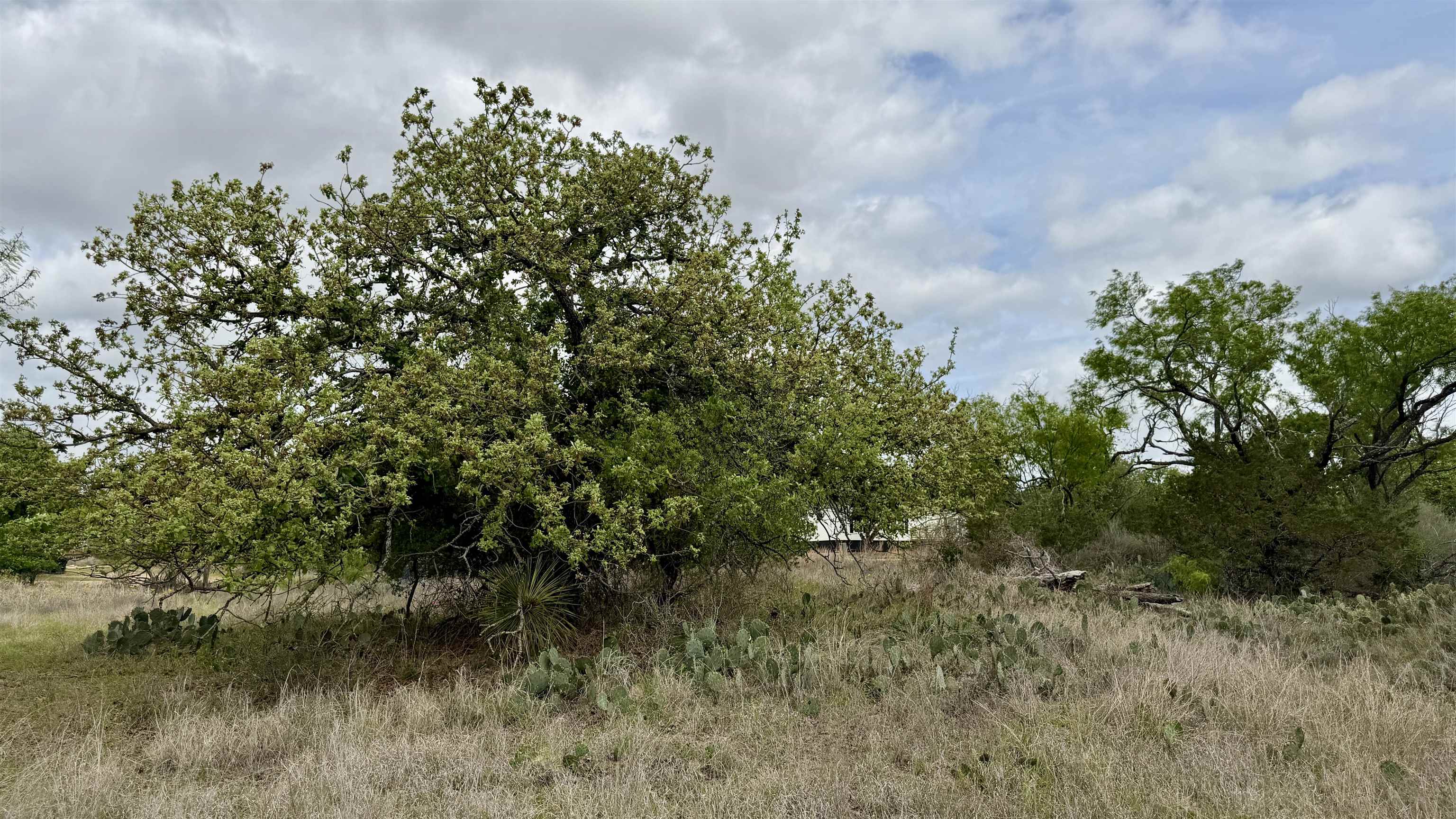 Lt 129 Brent Kingsland TX 78639
