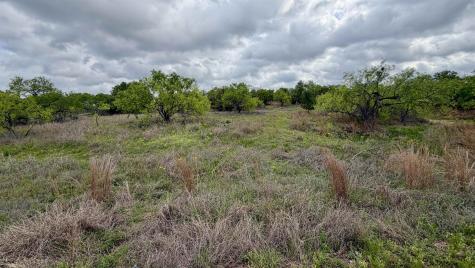 Lt 129 Brent Kingsland TX 78639