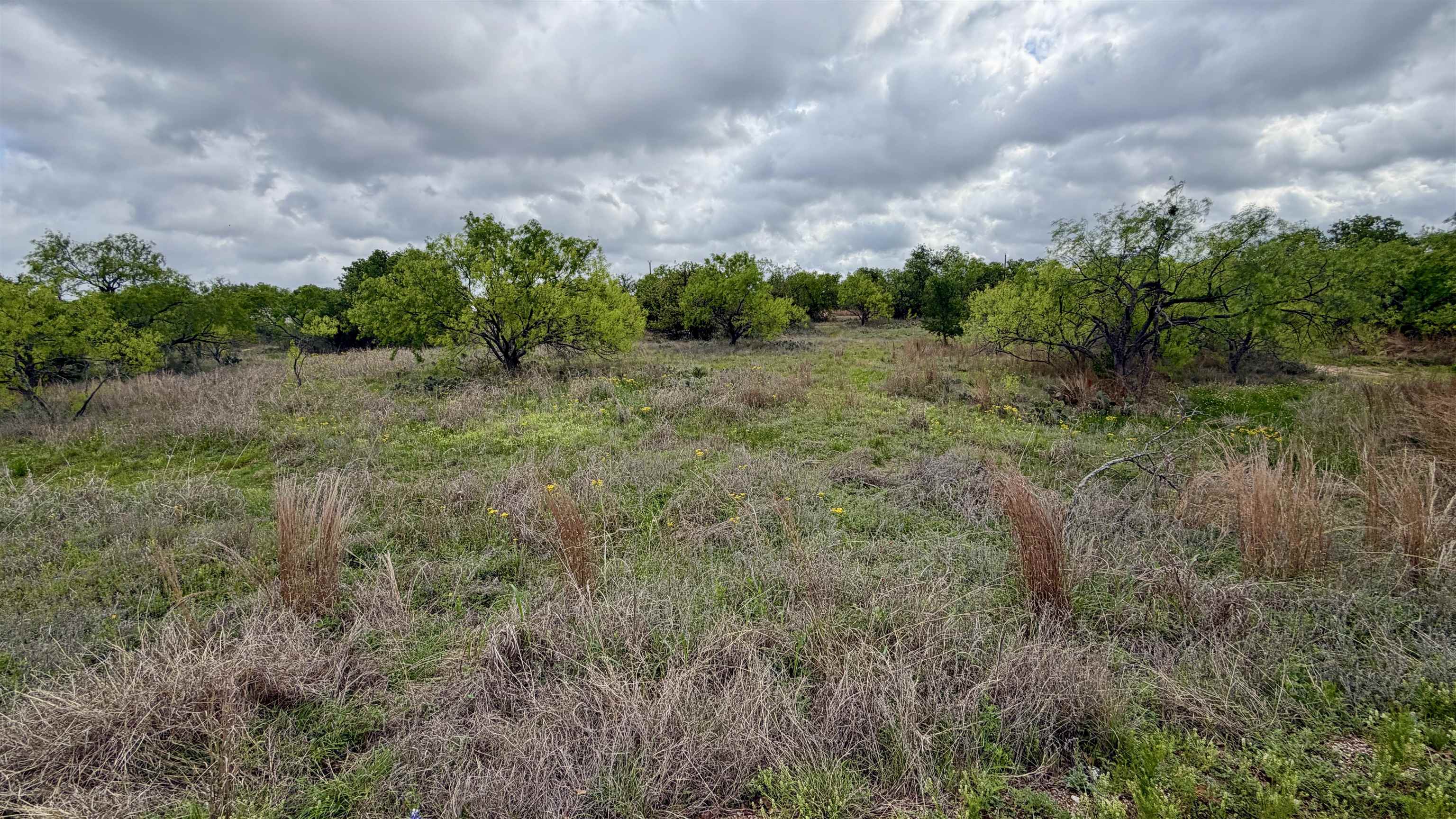 Lt 129 Brent Kingsland TX 78639