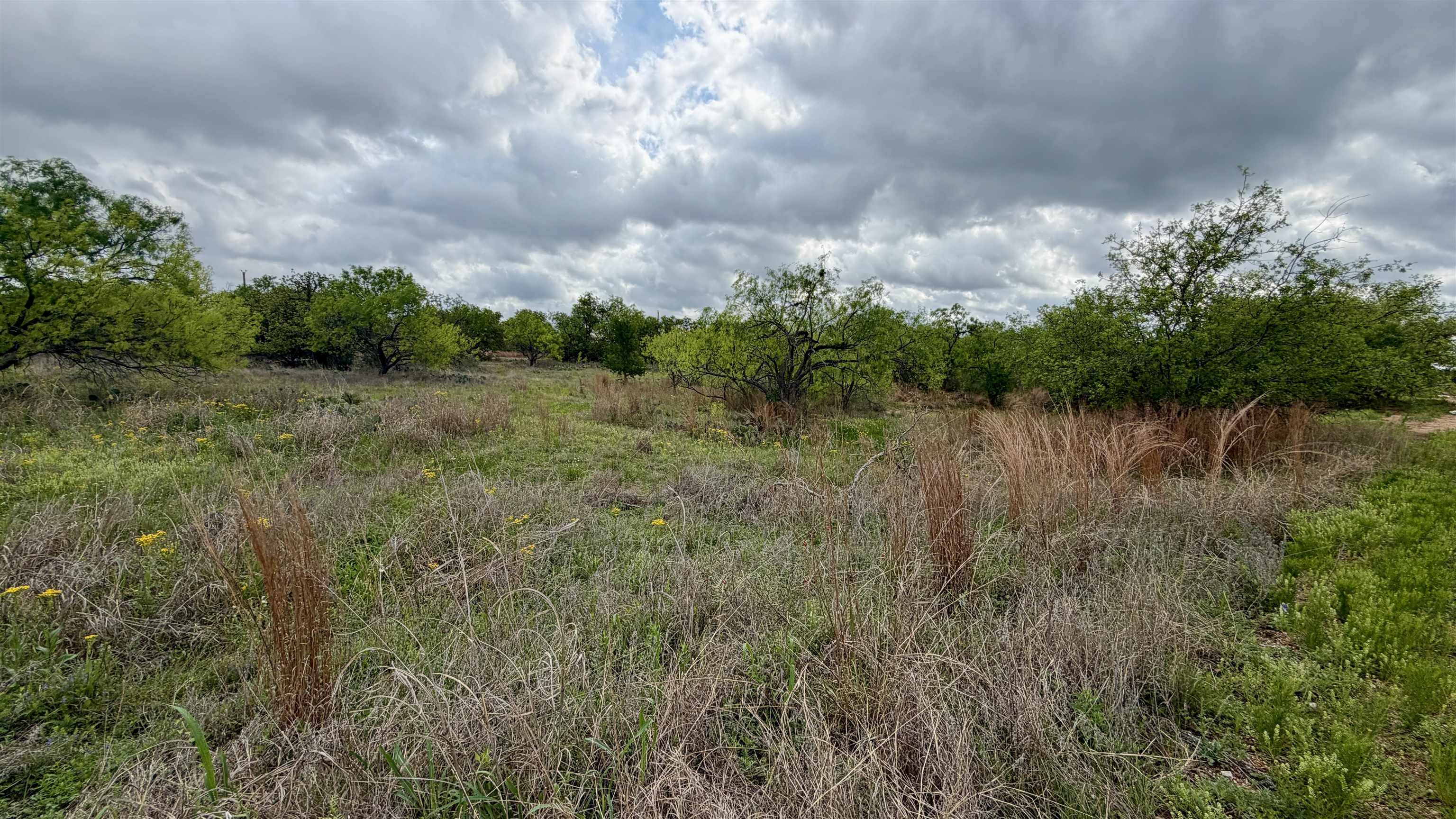 Lt 129 Brent Kingsland TX 78639