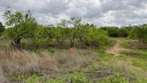 Lt 129 Brent Kingsland TX 78639