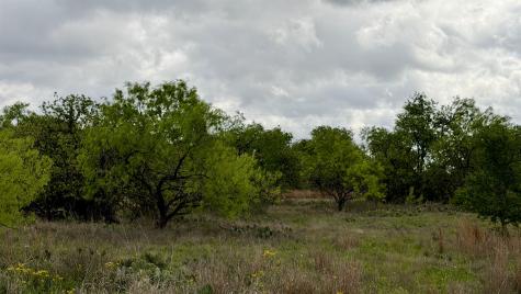 Lt 129 Brent Kingsland TX 78639