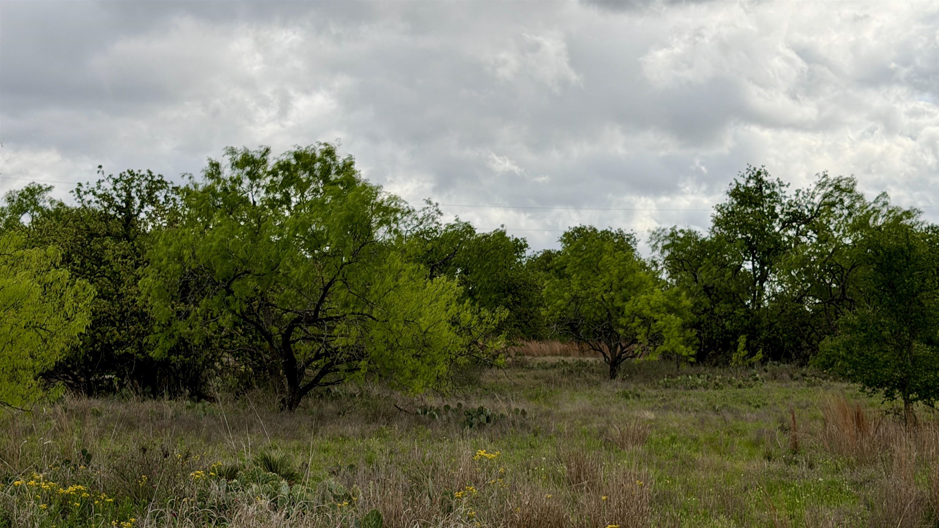 Lt 129 Brent Kingsland TX 78639
