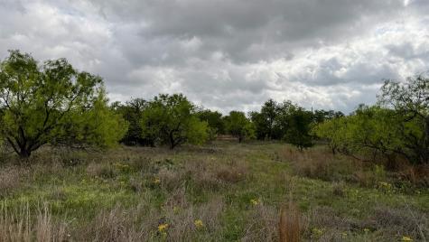 Lt 129 Brent Kingsland TX 78639